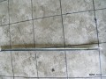 5630935504