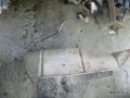 6260460819