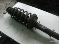 5209244444