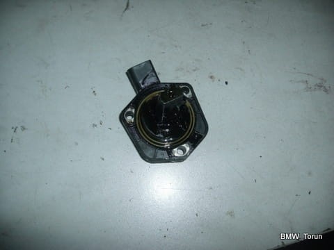5203529189