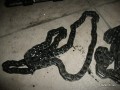 5120251075