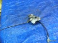 6265651180
