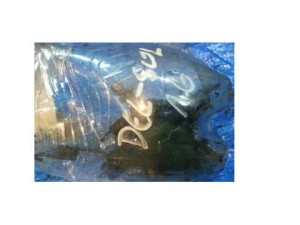 ZESTAW NAPRAWCZY HAMULCA TYŁ CRX DEL SOL 92-98