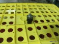 6260961107