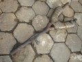 5067261626