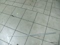 6259332058