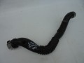 DSC05892.JPG
