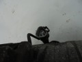 DSC06615.JPG