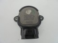 DSC06642.JPG