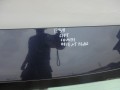 DSC05346.JPG