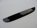 DSC08117.JPG