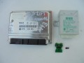 DSC08221.JPG