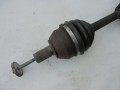 DSC08940.JPG