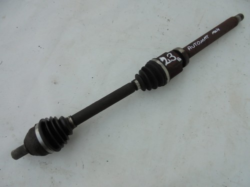 DSC08941.JPG