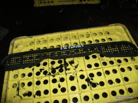 5367574558