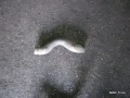 6268190198