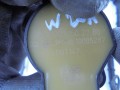 DSC00319.JPG