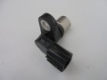 DSC09009.JPG