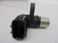 DSC09010.JPG