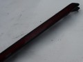 DSC05543.JPG