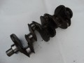DSC05155.JPG