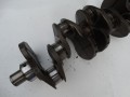DSC05156.JPG