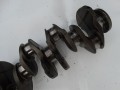 DSC05157.JPG
