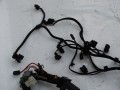 DSC05583.JPG