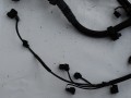 DSC05584.JPG