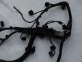 DSC05585.JPG