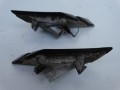DSC03908.JPG