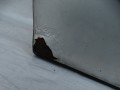 DSC01047.JPG