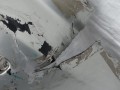 DSC01434.JPG