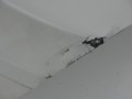 DSC03179.JPG