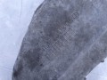 DSC01952.JPG