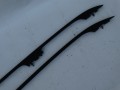 DSC05411.JPG