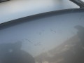 DSC06051.JPG