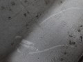 DSC06215.JPG