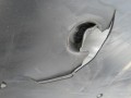 DSC07244.JPG