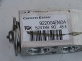 DSC07477.JPG
