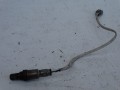 DSC07595.JPG