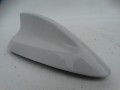 DSC00620.JPG