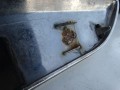 DSC01029.JPG