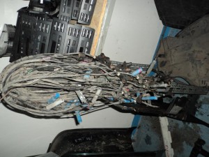 CZUJNIK CZUJNIKI ABS PRZÓD ORYGINALNY BMW E36