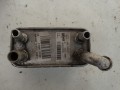 DSC01776.JPG