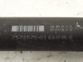 DSC02704.JPG