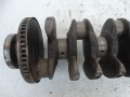 DSC04202.JPG
