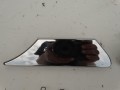 DSC00350.JPG
