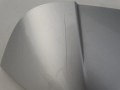 DSC01781.JPG