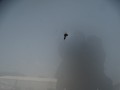DSC05167.JPG